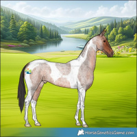 Horse Color:Bay Roan Tobiano