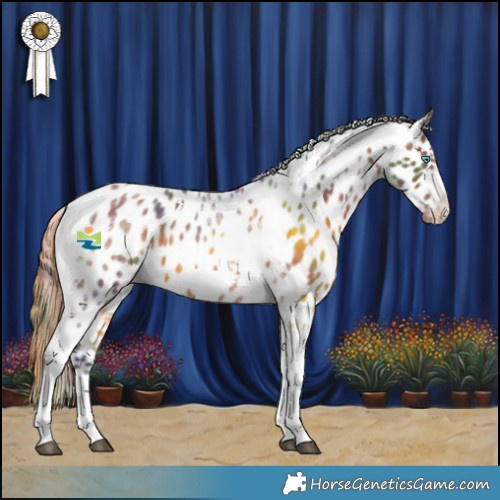 Horse Color:Nacre Brown Tobiano Frame Appaloosa Rabicano 