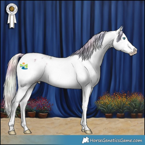 Horse Color:Nacre Silver Brown Dun Splash Tobiano Appaloosa 