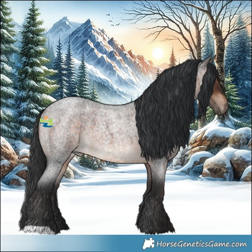 Horse Color:Brown Roan 