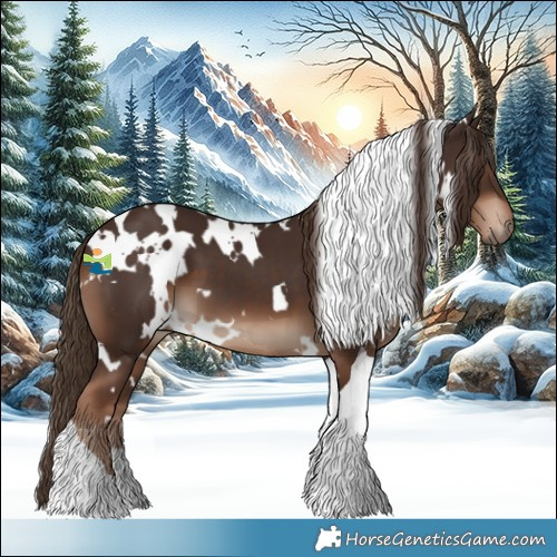 Horse Color:White Spotted Liver Chestnut Tobiano