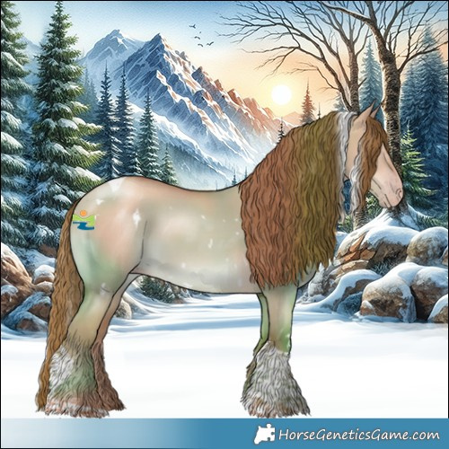 Horse Color:White Spotted Gold Champagne Dun Tobiano