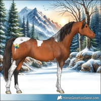Horse Color:Bay Tobiano Rabicano 
