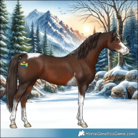Horse Color:Liver Chestnut Sabino Tobiano 