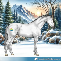 Horse Color:Gray Black Sabino Splash Tobiano 