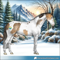 Horse Color:Buckskin Splash Tobiano 