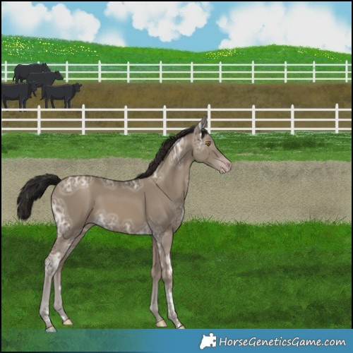 Horse Color:Gray Classic Cream Champagne Ice 
