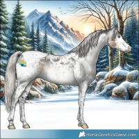 Horse Color:Gray Silver Smoky Black Splash Tobiano Appaloosa 