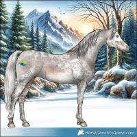 Horse Color:Gray Silver Black Splash Tobiano Appaloosa 