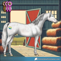 Horse Color:Gray Silver Black Splash Tobiano Varnish 