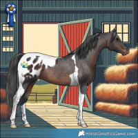 Horse Color:Brown Tobiano Appaloosa Rabicano 