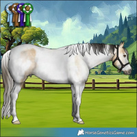 Horse Color:Gray Buckskin Dun Tobiano Frame 