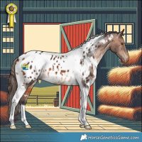 Horse Color:White Spotted Bay Tobiano Near Leopard 