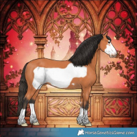 Horse Color:Bay Frame