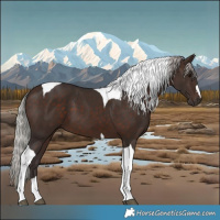 Horse Color:Silver Brown Tobiano 