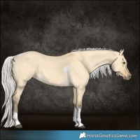 Horse Color:Silver Buckskin Dun Tobiano 