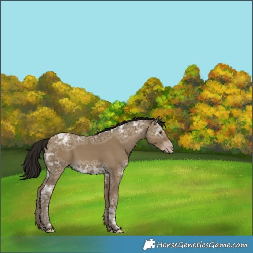 Horse Color:Gray Classic Cream Champagne Ice