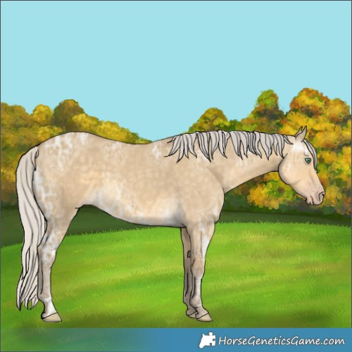 Horse Color:Silver Classic Cream Champagne Ice Dun 