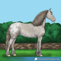Horse Color:Classic Cream Champagne Ice Appaloosa 