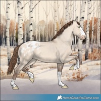 Horse Color:Amber Champagne Dun Blanket 