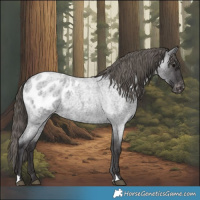 Horse Color:Smoky Blue Roan Blanket