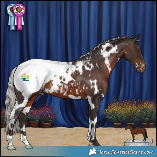 Horse Color:White Spotted Silver Brown Snowcap 