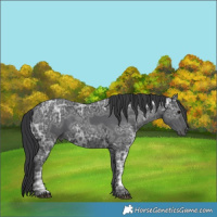 Horse Color:Black Ice 