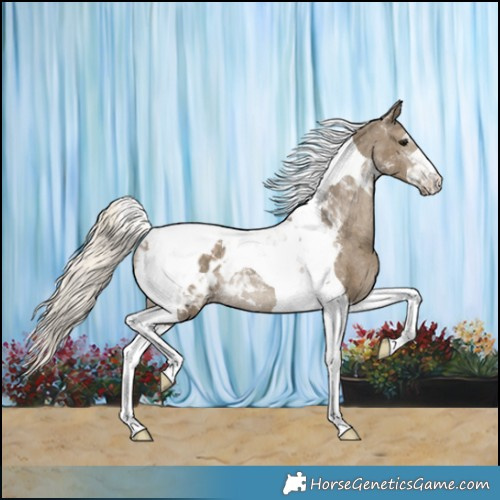 Horse Color:Silver Smoky Black Tobiano Appaloosa Rabicano 