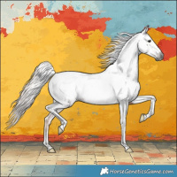 Horse Color:Gray Chestnut Tobiano Appaloosa 