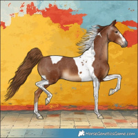 Horse Color:Gray Chestnut Tobiano Appaloosa