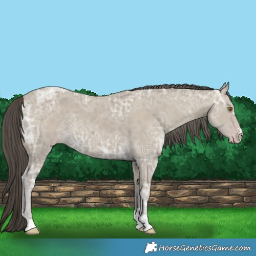 Horse Color:Classic Cream Champagne Ice