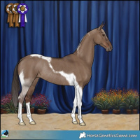 Horse Color:Liver Red Dun Tobiano Rabicano 