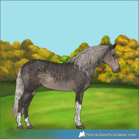 Horse Color:Silver Smoky Black Tobiano 