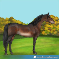 Horse Color:Brown 