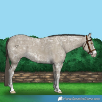 Horse Color:Classic Cream Champagne Ice 