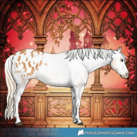 Horse Color:Chestnut Splash Blanket