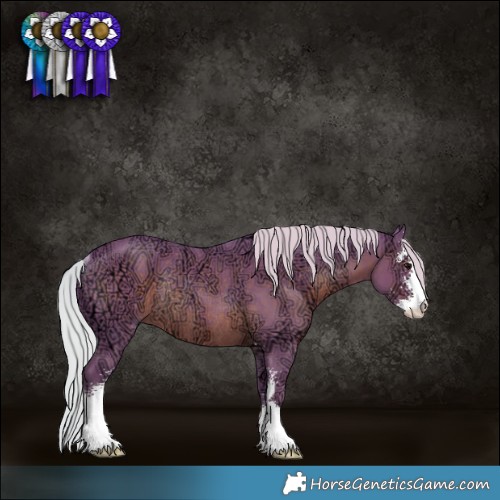 Horse Color:Watercolor Silver Black Ice Sabino Rabicano 
