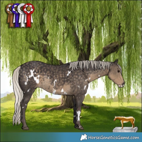 Horse Color:White Spotted Silver Smoky Black Frame Rabicano 