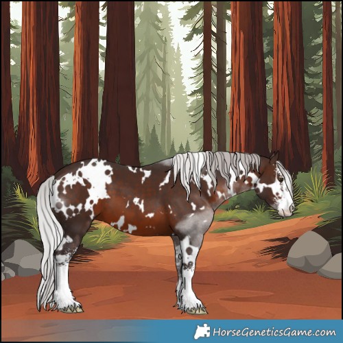 Horse Color:White Spotted Silver Brown Mushroom Sabino 