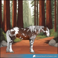 Horse Color:White Spotted Silver Brown Mushroom Sabino