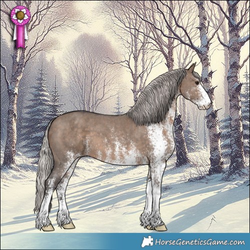 Horse Color:White Spotted Silver Brown Dun 