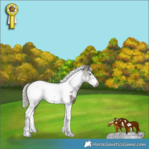 Horse Color:White Spotted Silver Black Tobiano Frame Rabicano 
