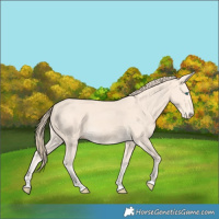 Horse Color:Perlino 