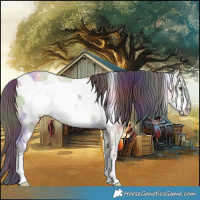 Horse Color:Nacre Classic Champagne Ice Dun Frame 