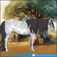 Horse Color:Classic Champagne Ice Dun Frame 