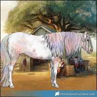 Horse Color:Nacre Silver Black Ice Tobiano 