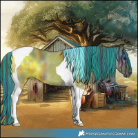 Horse Color:Painted Nacre Grullo Tobiano 