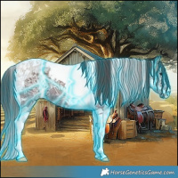 Horse Color:Thunderstruck Smoky Grullo Ice Tobiano 