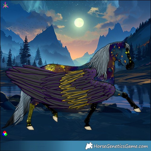 Horse Color:ERROR: UNKNOWN ANOMALY