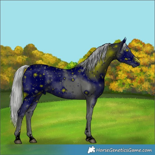 Horse Color:ERROR: UNKNOWN ANOMALY